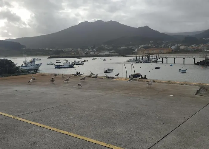 Puerto Pesquero De *